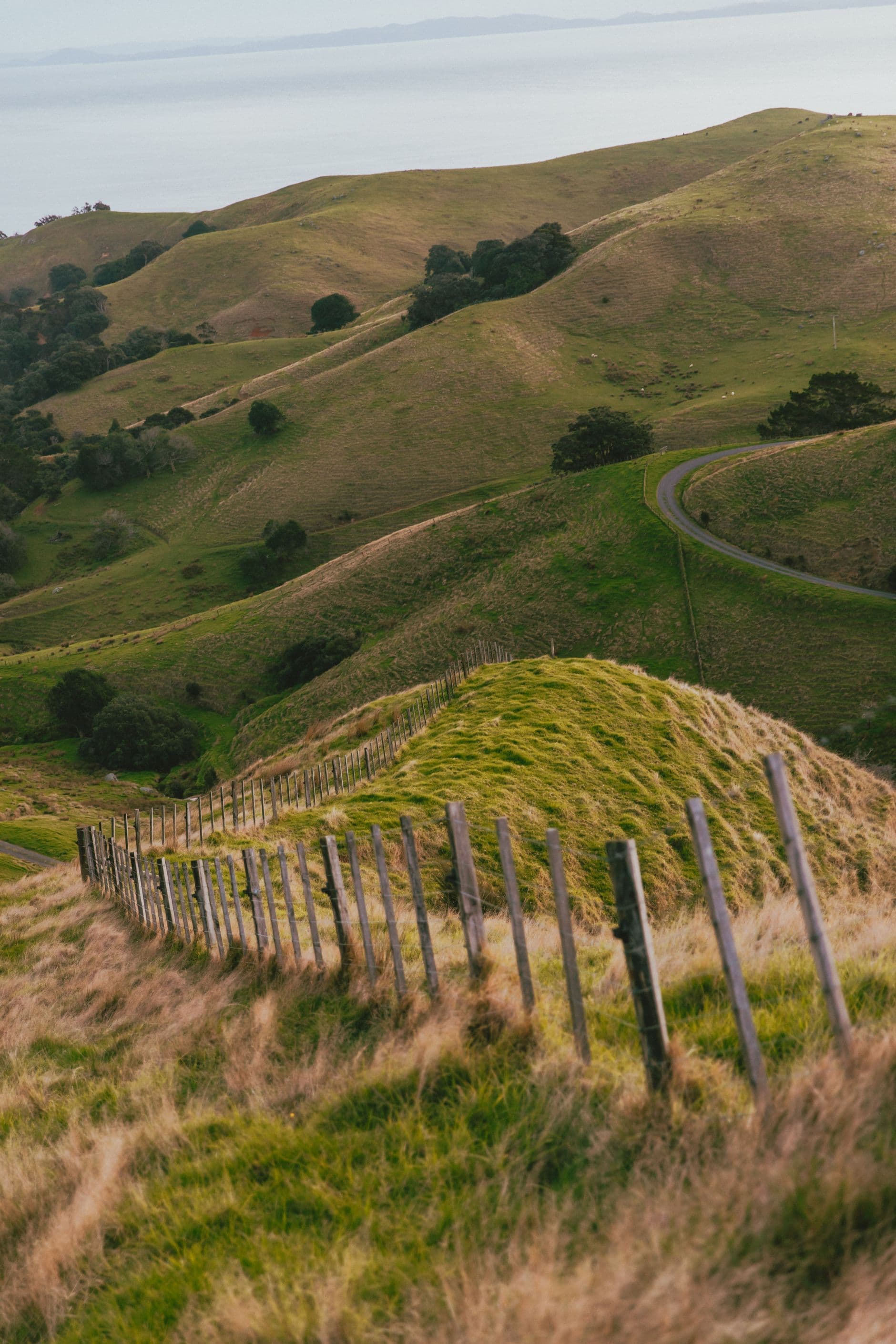 Rolling green hills over a coastline in the Waikato region of New Zealand