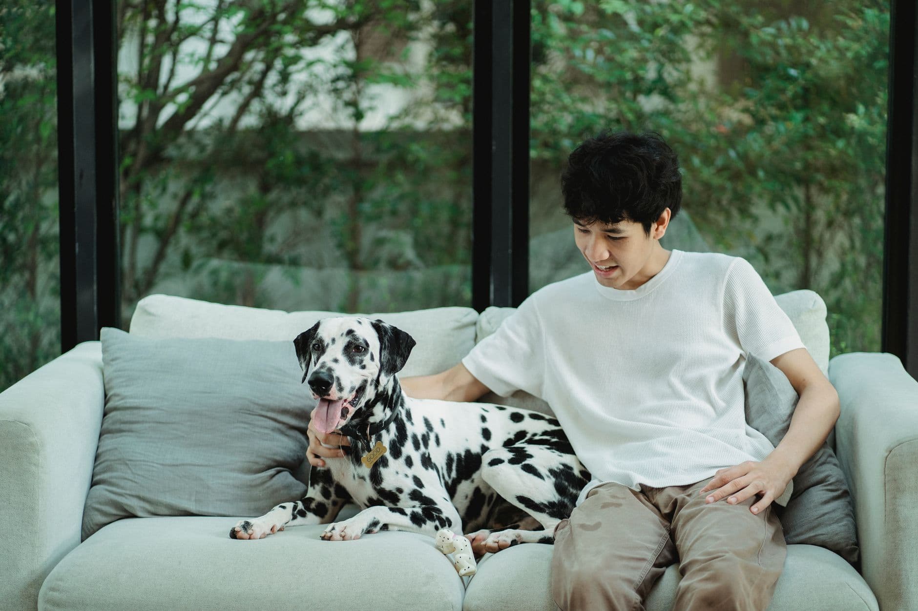 A young man sitting on a sofa with his Dalmatian, a leafy courtyard visible through the window behind them