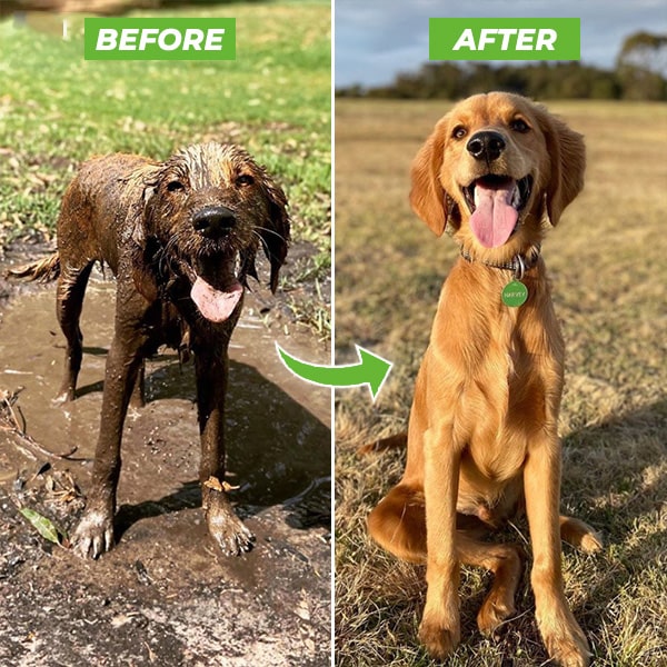The Pup Shower pro | Dog Washer Attachment